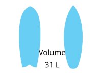 31 Liter