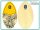 Skimboard SkimOne Holz