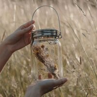 SONNENGLAS® Classic Solar Lantern 250ml